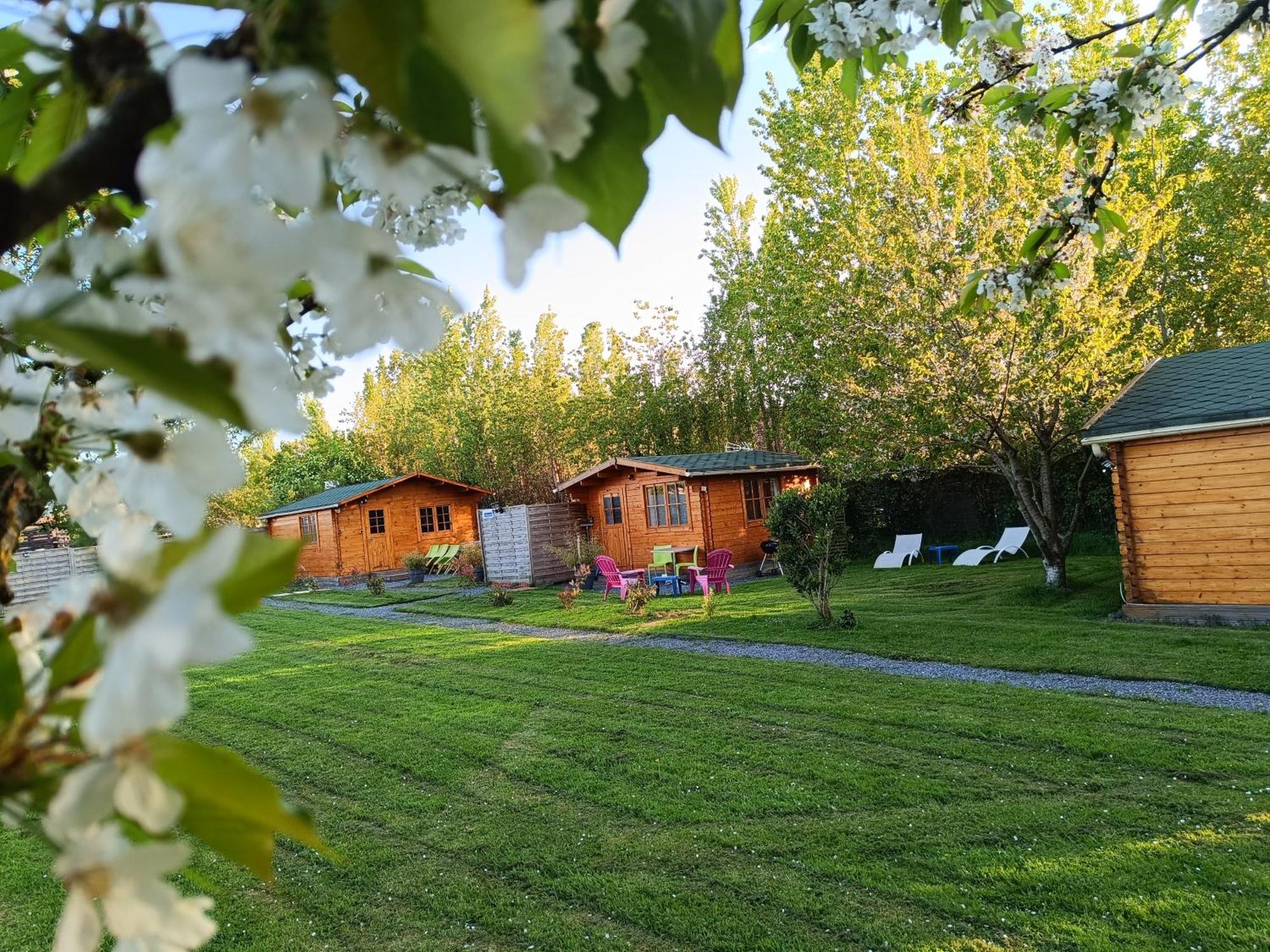 Gite Les Chalets Du Fliers Verton Meubles De Tourisme Classes 2 Etoiles Berck Номер фото
